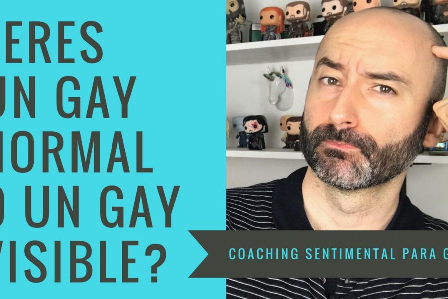 ¿Eres un gay normal o un gay visible?