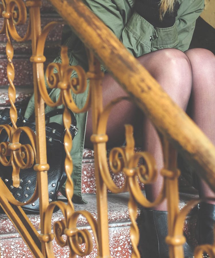 Praesent iaculis risus