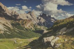 Small thumbs full width