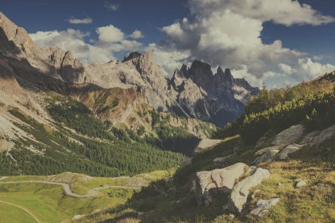 Small thumbs full width