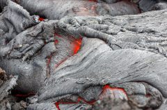 Mauris at urna quam.