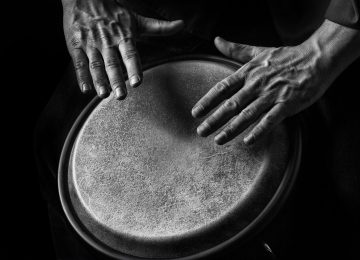 Wide gallery full width