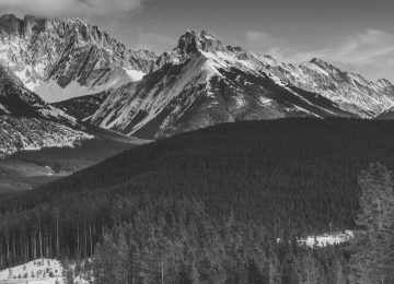 Medium thumbs full width