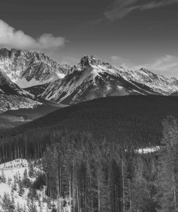 Medium thumbs full width