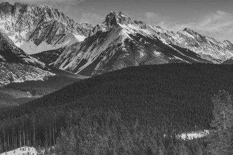 Medium thumbs full width