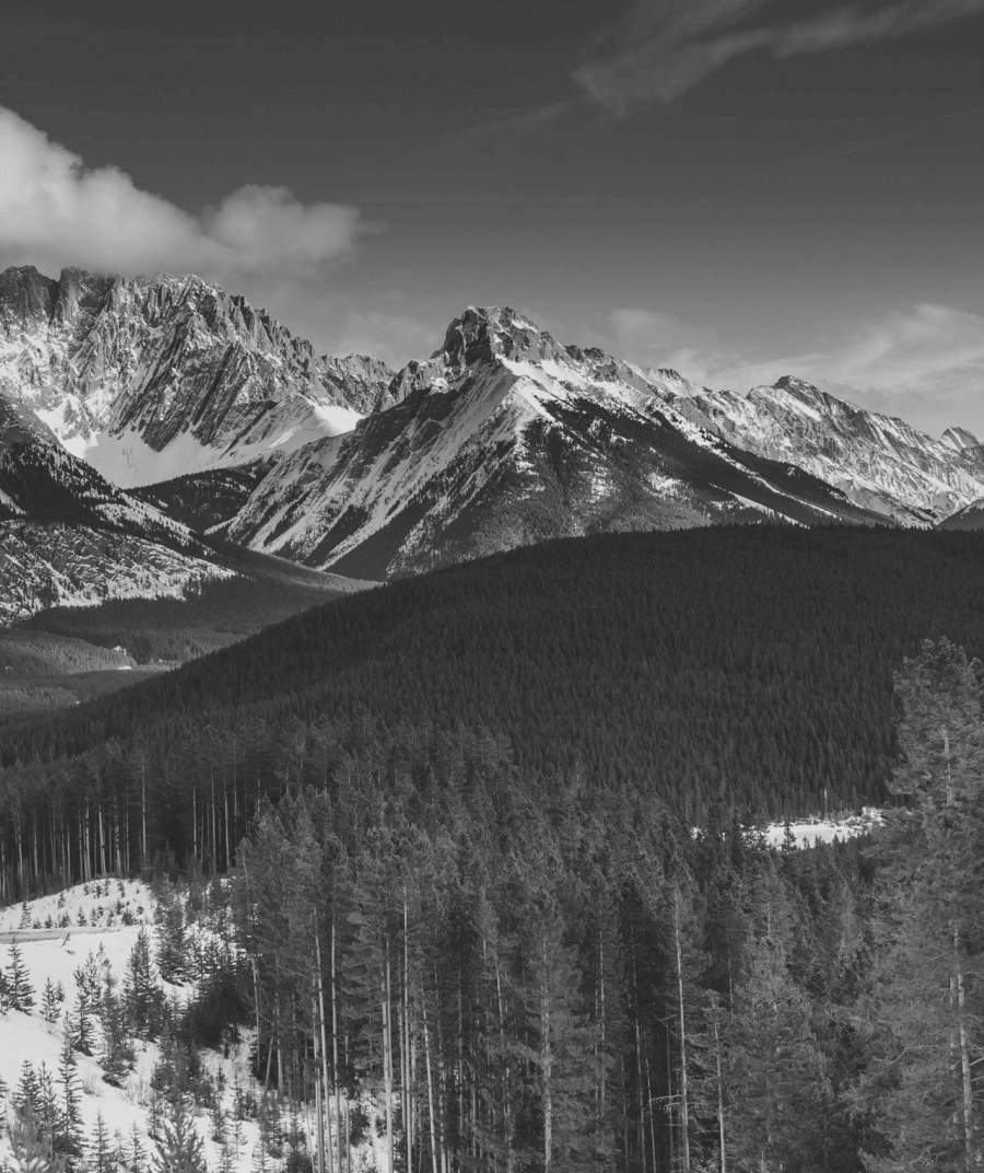 Medium thumbs full width