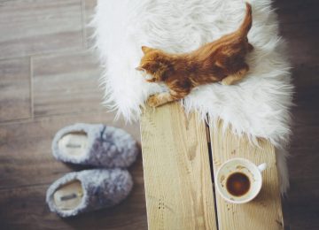 Medium thumbs full width